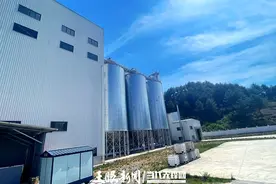 存栏80万羽、销售额超1亿元，赫章县这个蛋鸡养殖场如何做到图片
