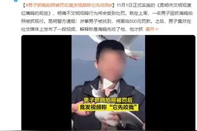 男子抓海鸥被罚要起诉昆明官方：称是海鸥先咬了他图片