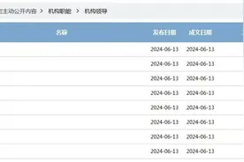 深圳市投资促进局职能明确！她兼任“一把手”图片
