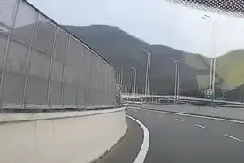 三亚：一女子驾车在高速公路上逆行！交警处罚来了图片