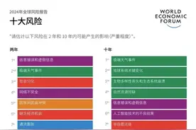 全球风险报告：人工智能虚假信息将冲击主要经济体选举图片