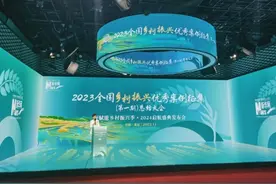 创维光伏获评新华网2023全国乡村振兴优秀企业图片