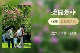 惊艳这个夏天！紫薇花开啦！🦋图片