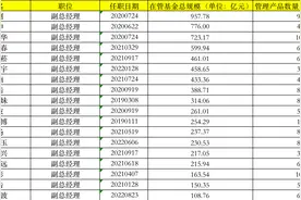 今年已有9位基金经理升任副总，谁的业绩最好？图片
