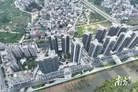 城村如何联动融合？电白区水东街道寨头村以“典型”作答图片