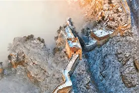 这个冬天的第一场雪 邂逅一场纯净的视觉盛宴图片