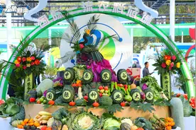河南新乡：种业“芯”动力 中原农谷创新领航图片