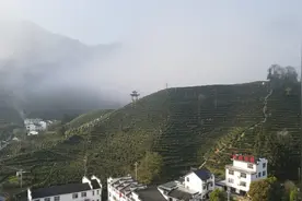 外媒：安徽文旅推介会在美举办图片