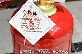 灭火器“早产”绿化减配……济南一小区交付遭业主质疑图片