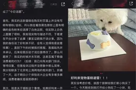 好利来宠物蛋糕被质疑有问题，创二代品牌年轻化策略面临挑战图片