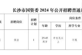 长沙市国资委招聘保洁，限25至45岁中专以上及3年工作经验，招聘方：系劳务派遣图片