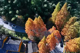 九华山：九曲蜿蜒盘山路 五彩斑斓美如画图片