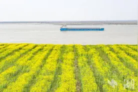 组图｜嘉鱼：春江风光好 江轮花海行图片