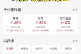 A股回调 环保、银行板块飘红图片