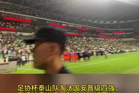 泰山队工体谢场庆祝晋级，费莱尼砸拳连击引爆客队球迷看台区氛围图片