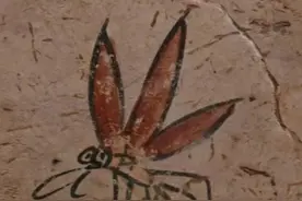这份防蚊指南请收好，这个夏天离蚊子远远的！图片