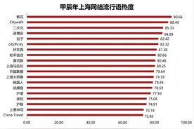 繁花、Citywalk、二次元……新湃实验室发布甲辰年上海网络流行语分析报告图片