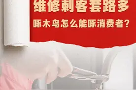 中新网评：啄木鸟维修终究啄了自己的眼图片