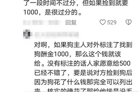 现场崩溃！女学生找回丢失的狗被索要千元，网友吵翻图片