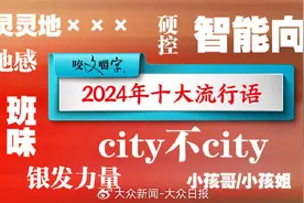 “city不city”为何入选？年度十大流行语原来是这么选出来的图片