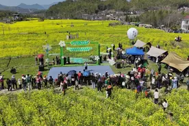 宣城旌德：花海乐淌 美不胜收图片