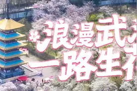 马来西亚赏花团游武汉大学登黄鹤楼，一个月内百余境外团“樱约而来”图片