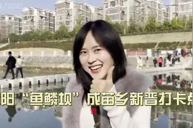 视频︱麻阳“鱼鳞坝”成苗乡新晋打卡点图片