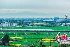 时评：乘高铁赏春日中国 阅美景观锦绣山河图片