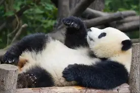 冲上热搜！8岁娃被终身禁入！图片