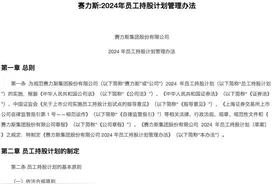 一周市场观察｜考核与营收和销量挂钩 赛力斯“五折”推员工持股计划图片