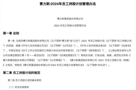 一周市场观察｜考核与营收和销量挂钩 赛力斯“五折”推员工持股计划图片