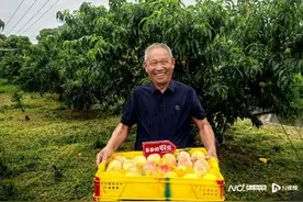 牺牲短期利润？左手扶持右手治理，拼多多加码高质量发展图片