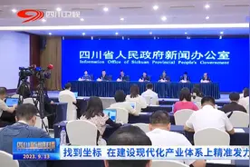 四川新闻联播丨找到坐标 在建设现代化产业体系上精准发力图片