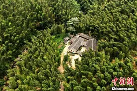 （八闽千姿）竹林深处造纸人：半世纪坚守竹纸制作技艺传承图片
