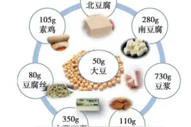 健康科普｜增豆添营养 身体更健康图片