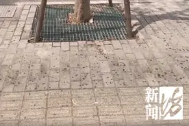 上海街头这些不明粘液是啥？很多人都踩到了图片