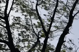 多预警连发，大风现在到哪里了？图片