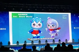哈尔滨冰雪大世界官宣｜全新IP形象“冰冰”“雪雪”！景区代言人张译！图片