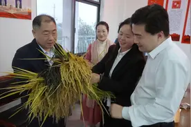 息县“大米姐”王春玲：用酵素种出有机大米图片
