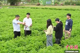 “川药首药”拓宽出海之路 带动更多四川中药材走向世界图片