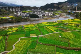 中央农办：事关农民宅基地，两条政策底线必须守住、不能突破图片