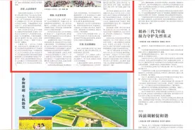 在周口，读懂“早期中国”图片