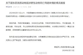 阜阳回应网传动物园20只老虎死亡：成立调查组全面调查图片