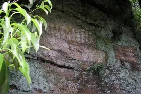 在陆羽撰《茶经》处，共话地域美术史研究图片