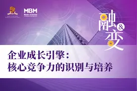 企业成长引擎：核心竞争力的识别与培养图片