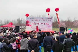来全椒马厂，赴一场与樱花的浪漫约会图片