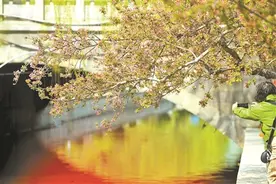 来元大都遗址公园赏海棠花海盛景图片