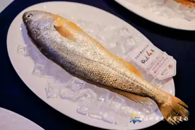 20条大黄鱼免费请你吃！金灿灿，鲜掉眉毛！33家杭州合作酒店欢迎您来品鉴南麂大黄鱼！图片