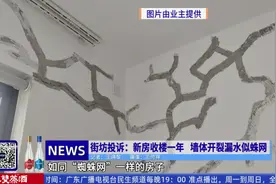 新房变“危房”？墙体开裂漏水似蛛网，业主被迫搬离图片