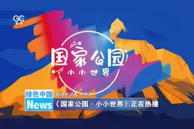 《国家公园·小小世界》正在热播图片